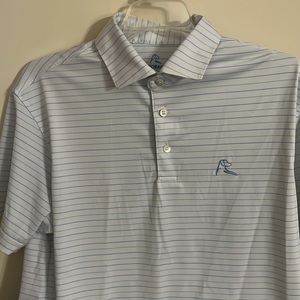Rhoback Performance Polo | Blue/Green/White Stripes | Small | Good Condition